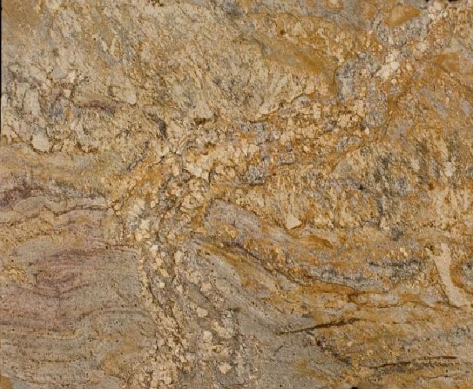 Golden Ray / Gold Ray