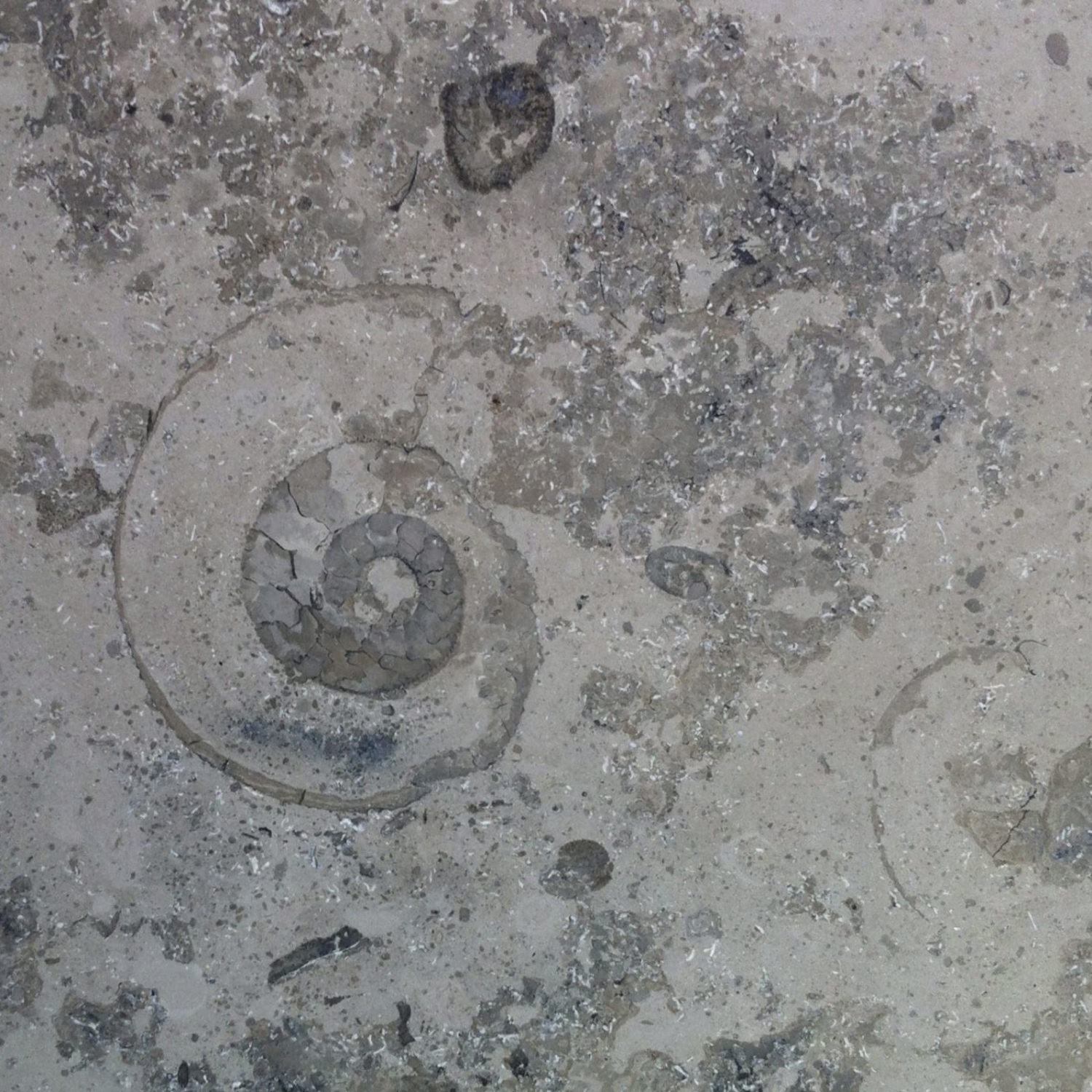 Jura Polau Blau / Jura Grey Blue