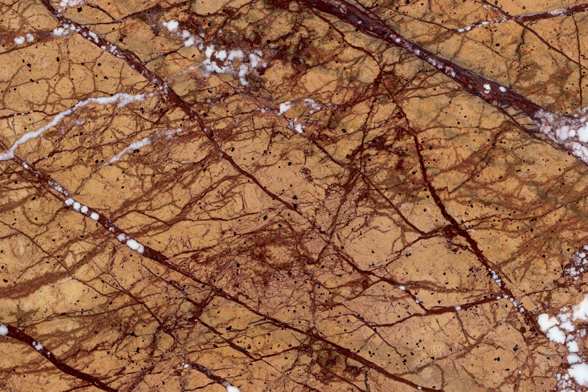 Bidasar Brown / Rainforest Brown