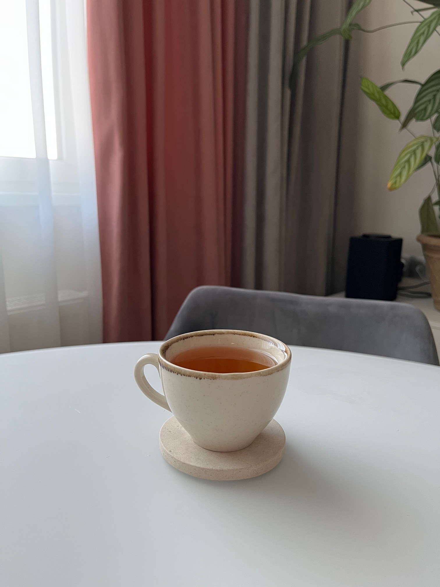 СПK Подставка круглая (91х91х8 мм)/Известняк Branco Valongo/Бежевый/Лощение - изображение 4