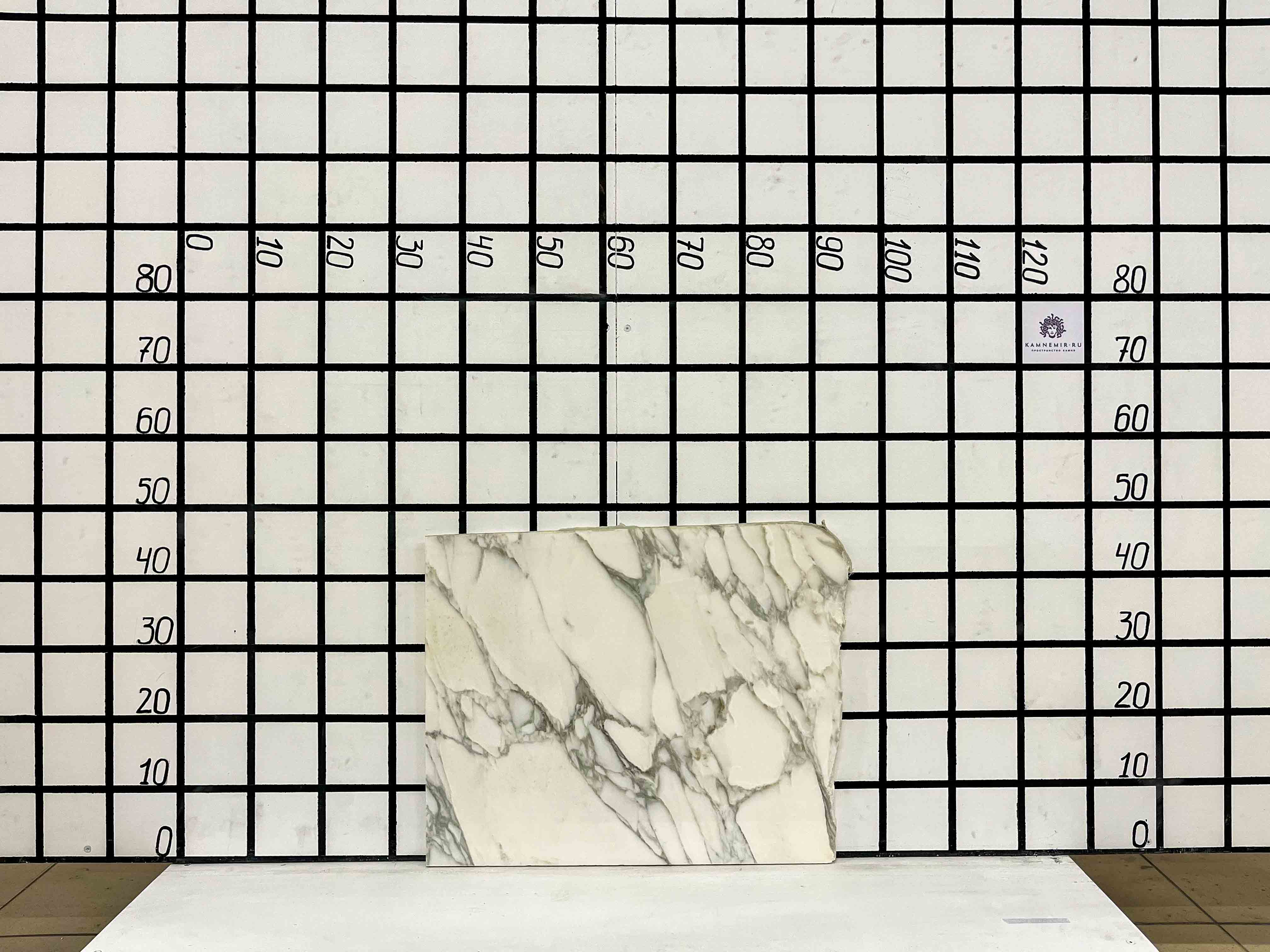 Изображение Заготовка F2409 (530х450х20 мм)/Мрамор Calacatta/Белый/Полировка