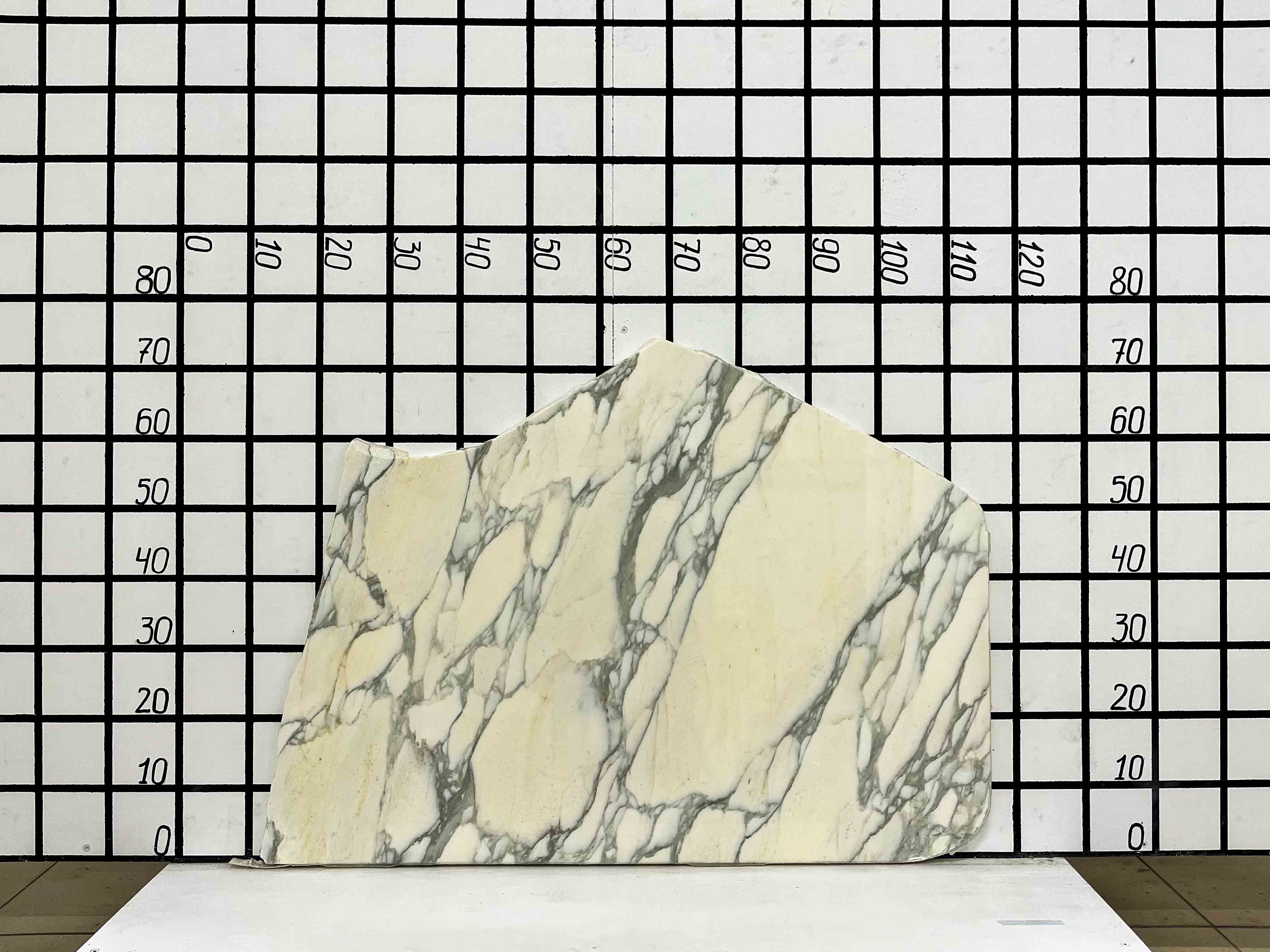 Изображение Заготовка F2366 (850х460х20 мм)/Мрамор Calacatta/Белый/Полировка