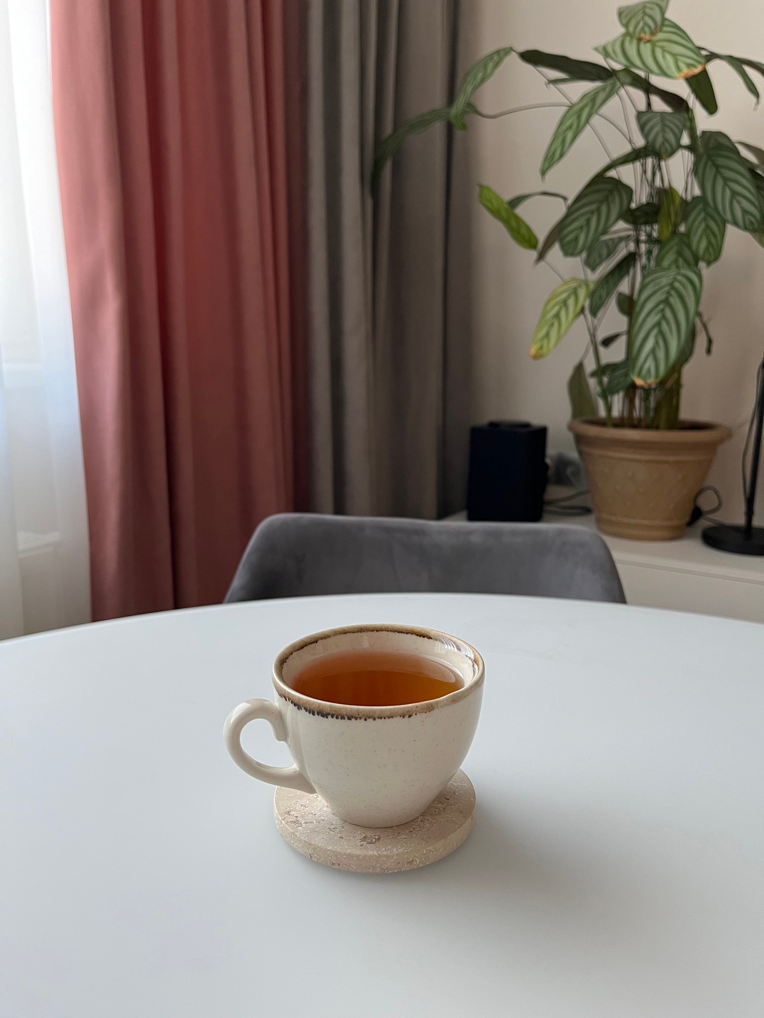 СПK Набор из 4х шт Подставка круглая (91х91х40 мм)/Известняк Jura Beige/Бежевый/Лощение - изображение 2