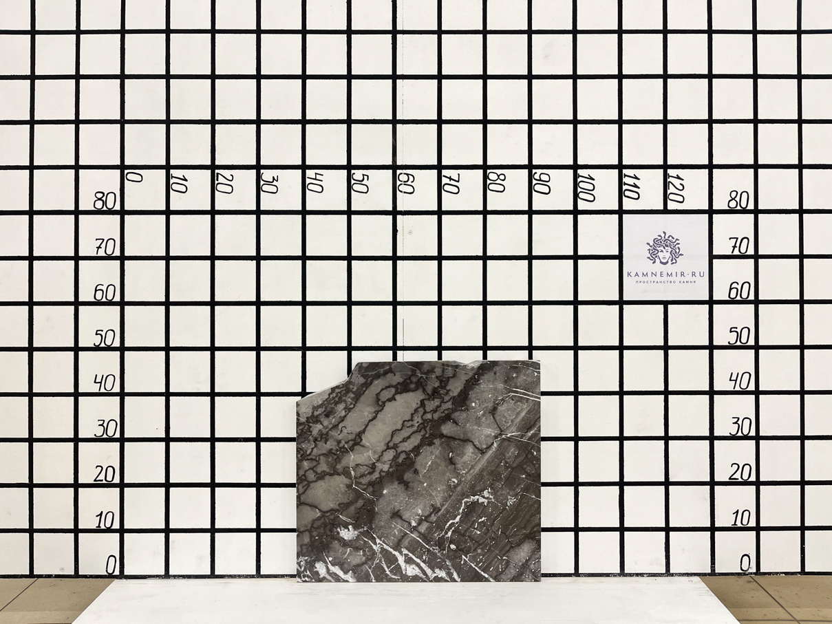 Изображение Заготовка F3309 (520х380х20 мм)/Мрамор Arabescato Gridjio/Серый/Полировка