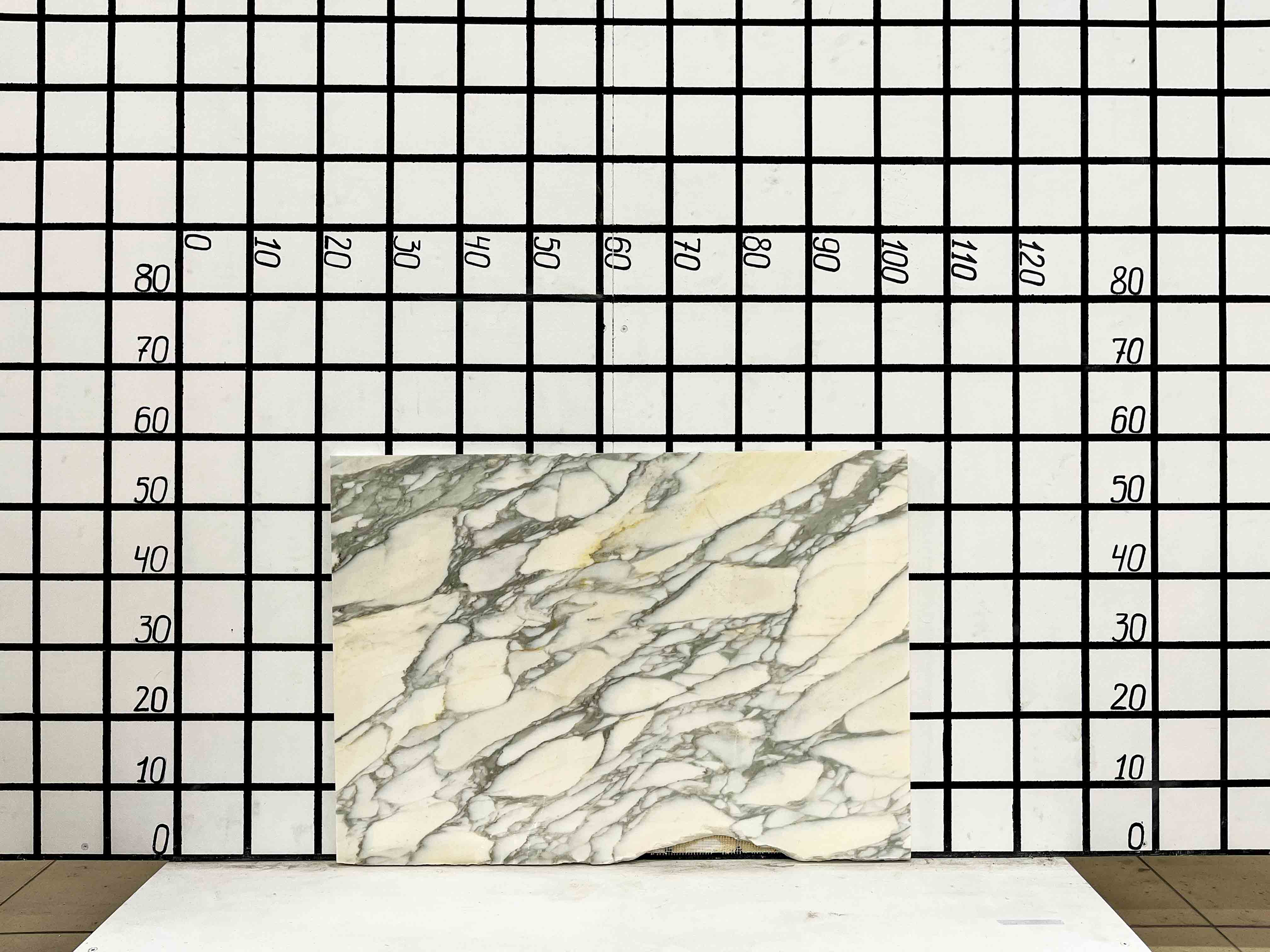 Изображение Заготовка F2371 (800х500х20 мм)/Мрамор Calacatta/Белый/Полировка