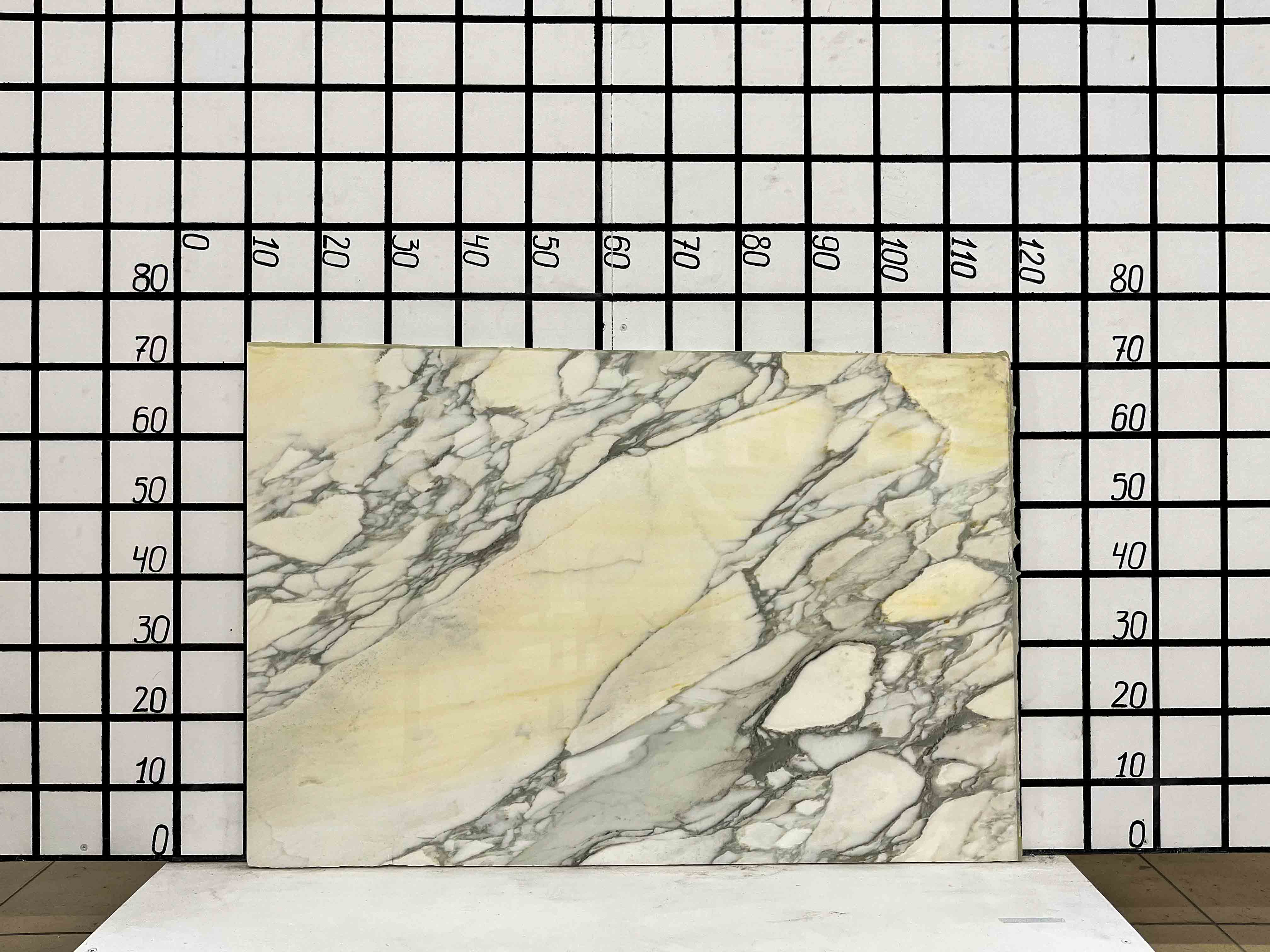 Изображение Заготовка F2372 (1050х700х20 мм)/Мрамор Calacatta/Белый/Полировка