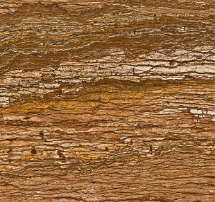 Travertine Walnut - изображение 2