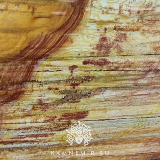 Calipso Gold / Calypso Gold  - изображение 2