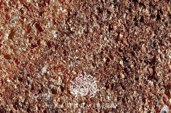 Etruscan Rose - изображение 2