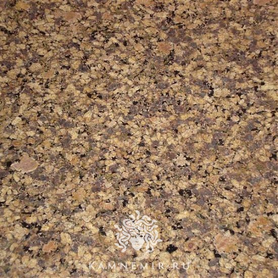 Merry Gold - изображение 3