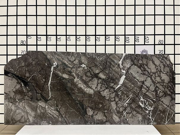 Заготовка  (1600х600х20 мм)/Мрамор Arabescato Gridjio/Серый/Полировка - изображение 1