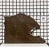 Заготовка F6689 (550х330х20 мм)/Мрамор Bronze Amani/Коричневый/Полировка - мини изображение 1