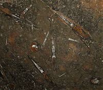 Фрагмент текстуры Brown fossil