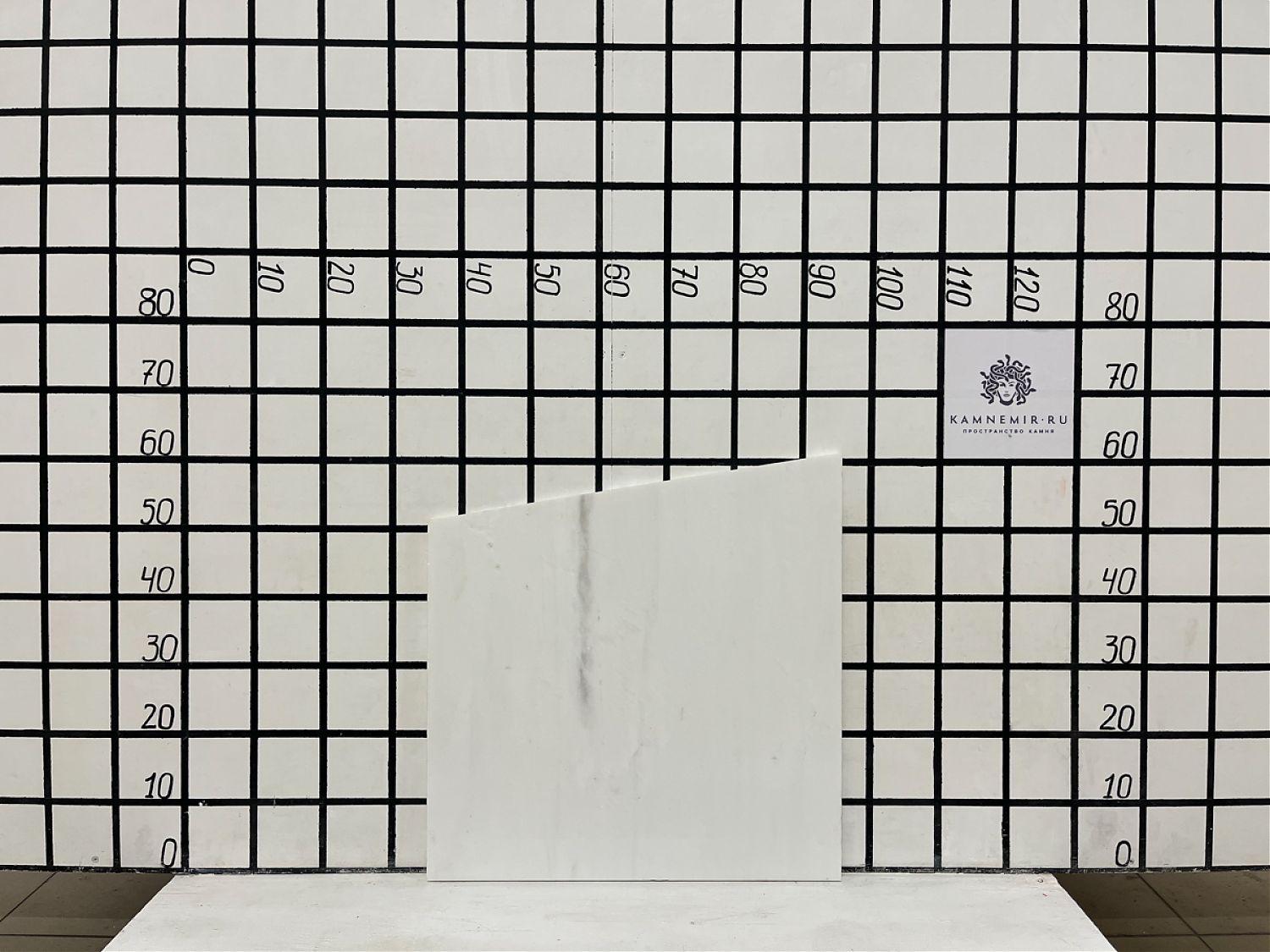 Изображение Заготовка F9817 (580х510х20 мм)/Мрамор Bianco Lasa Venato/Белый/Полировка