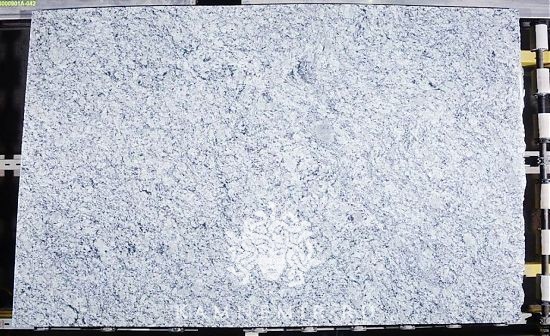 Bianco Primata - фото 1