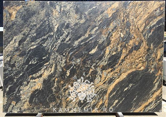 Spectrus - фото 5