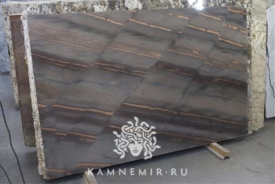 Elegant Brown - фото 3