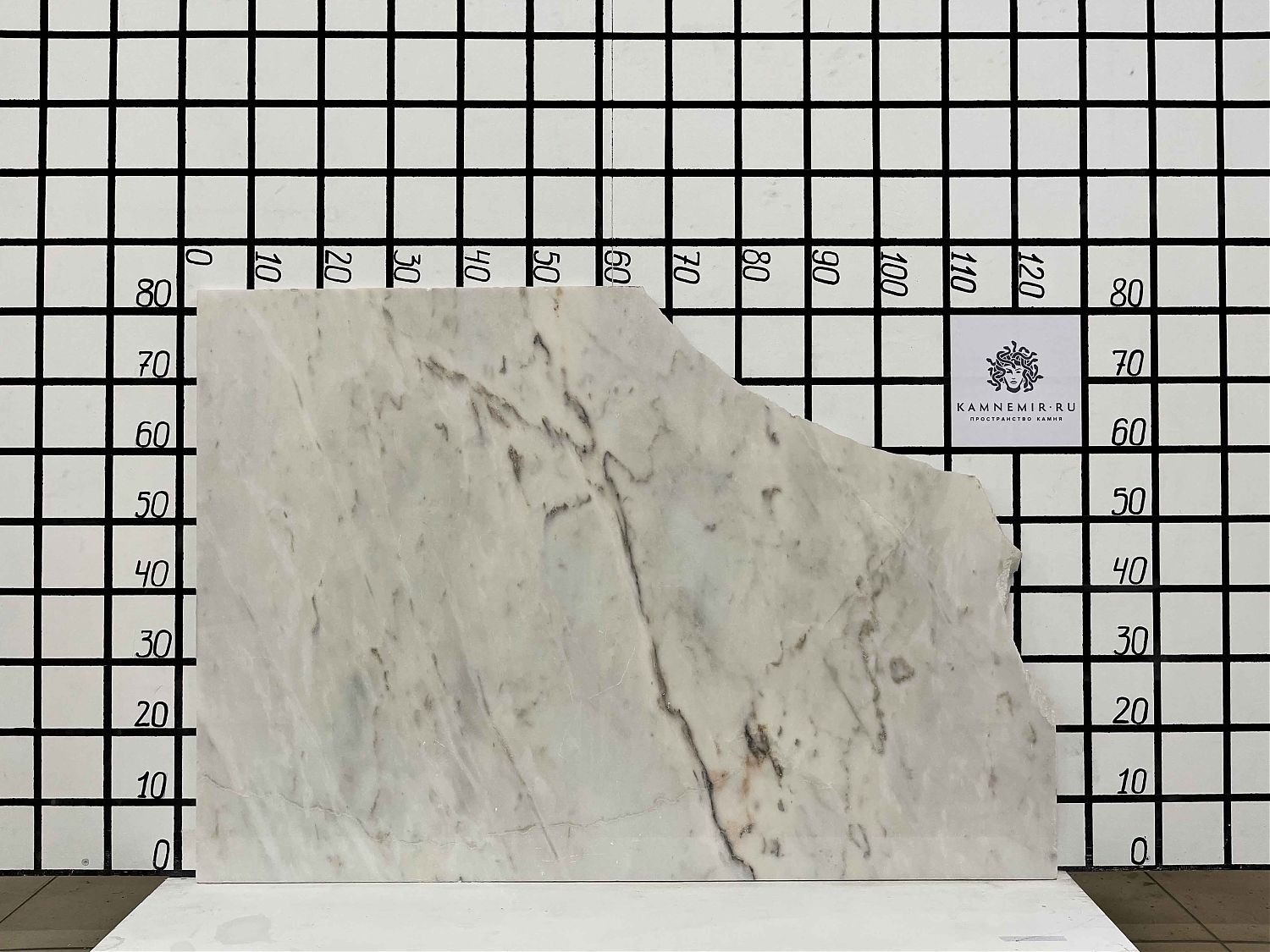 Изображение Заготовка F2531 (920х570х20 мм)/Мрамор Bianco Lasa Vena Oro/Белый/Полировка