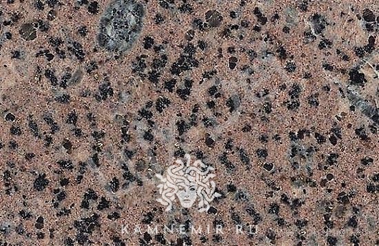 Возрождение (Форель / серо-розовый) - изображение 1