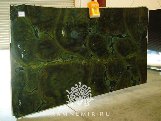 Vitoria Regia - фото 3