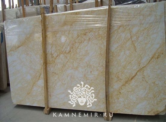 Golden Spider - фото 3