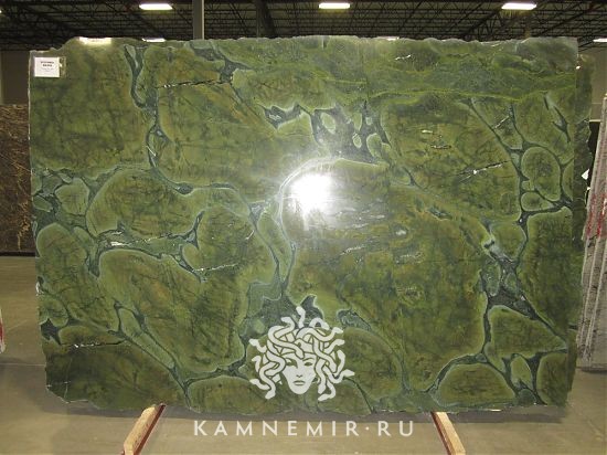 Vitoria Regia - фото 4