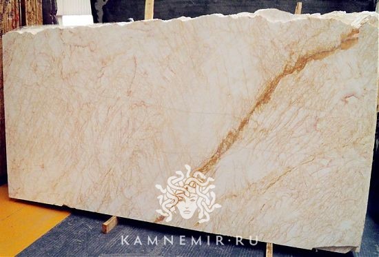 Golden Spider - фото 4