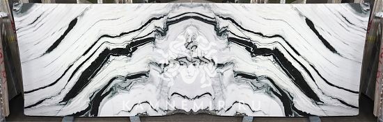 Panda White - фото 8