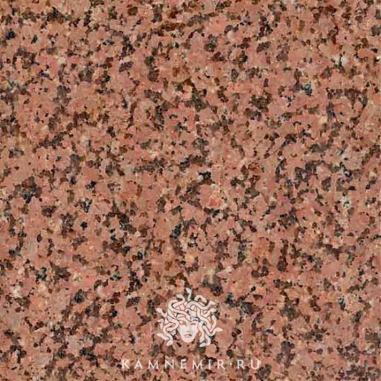 Жельтау розовый - изображение 1