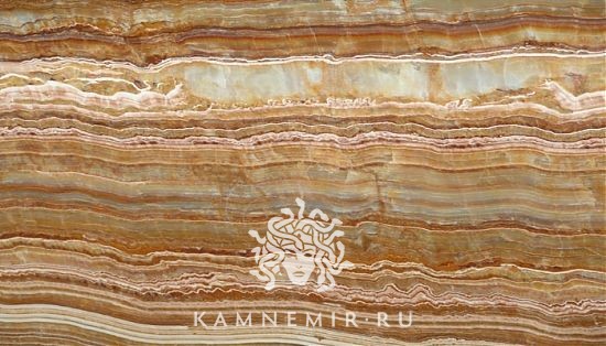 Onyx Tiger / Onyx Tigrato - фото 1