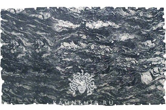 Amadeus - фото 4