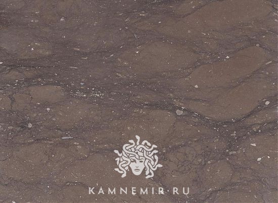 Caesar Brown / Kaesar Brown - изображение 1