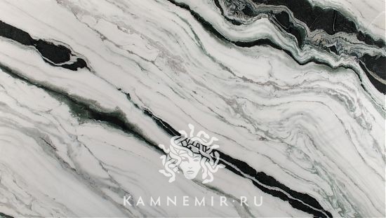 Panda White - изображение 1