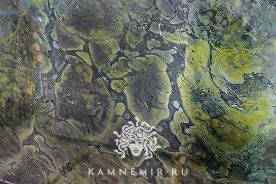 Vitoria Regia - изображение 1