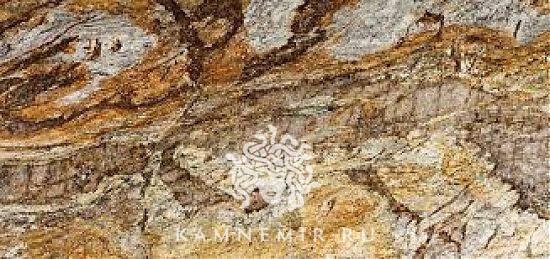 Golden Ray / Gold Ray - изображение 1