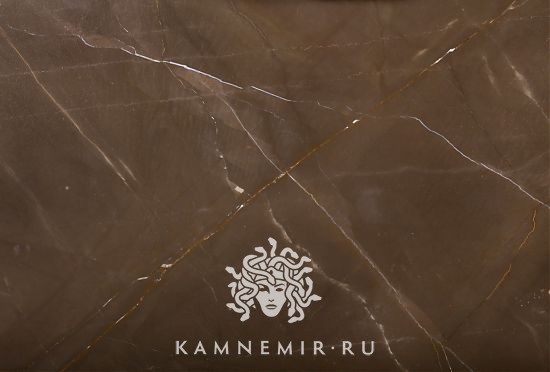 Bronze Amani - изображение 2