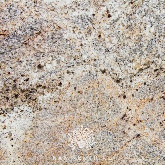 Sage Brush - изображение 2