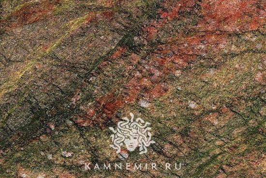 Kangaroo - изображение 2