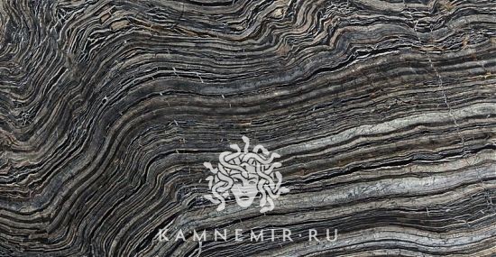 Black Wave - изображение 3