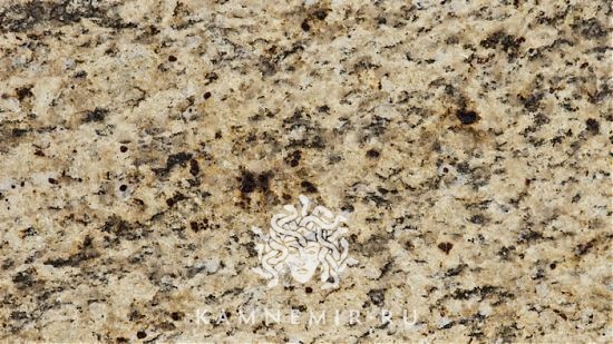 Giallo Ornamentale - изображение 3