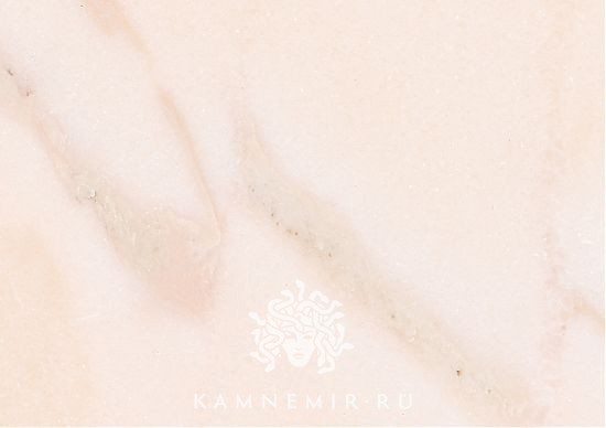 Rosa Aurora - изображение 4