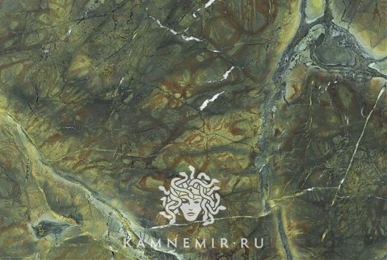 Vitoria Regia - изображение 4