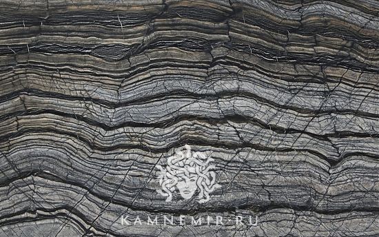 Black Wave - изображение 5