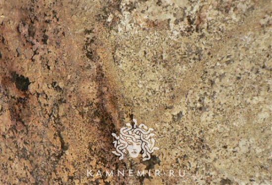 Sage Brush - изображение 4