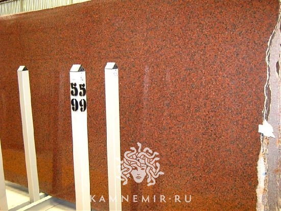 African Red - фото 1