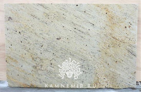 Astoria Gold / Astoria Cream - фото 1