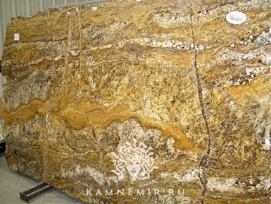 Golden Ray / Gold Ray - фото 1