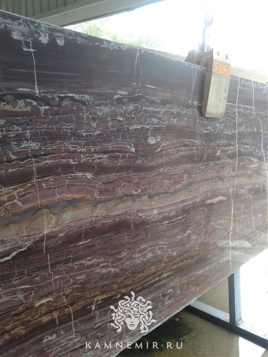 Brown Alligator - фото 2