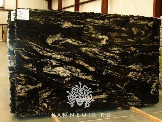 Black Taurus / Black Fusion - фото 3