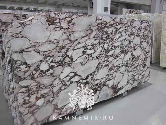 Calacatta Viola / Breccia Capraia - фото 3